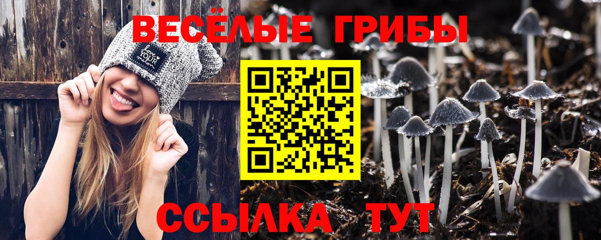 Галлюциногенные грибы GOLDEN TEACHER Алатырь