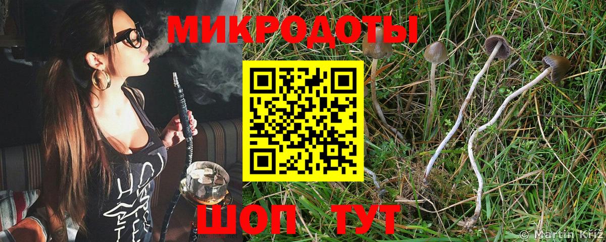 Псилоцибиновые грибы Cubensis  Галлюциногенные грибы мицелий  Вход с VPN  купить закладку  Алатырь 